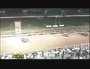 第58回姫山菊花賞 タガノゴールド