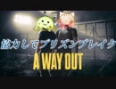 茶トラとくまんばちが協力してプリズンブレイク【A WAY OUT】＃１