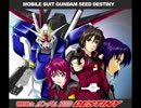 Gundam Seed Destiny ost  (Life Goes On)