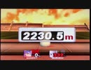 スマブラX ホムコン ドンキー 2230.5m【WR】