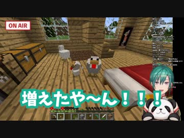 緑仙、ニワトリとの戦い