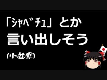 【ゆっくり保守】「市議会の品位を尊重してのど飴舐めながら喋りました」←？？？