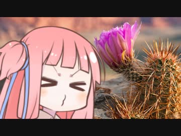 茜ちゃんが葵ちゃんを30秒で捜す動画