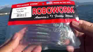 今日はこれでバス釣りたい。ROBOWORM ロボカーリーダウンショット。琵琶湖バス釣り。