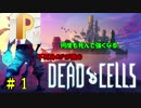 【生配信】不死身のPが挑むDead Cells #1【丸上げ】