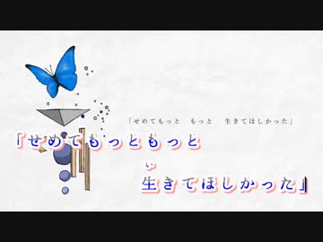【 ニコカラ 】 モルフォは飛ばない ≪ on vocal ≫