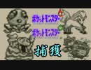 図鑑完成に精を出してるアピールをする男【ポケットモンスター赤 Part27】