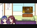 【そくドラ！外縁隊】verめっと　14　車載ビデオを見ながらコメレスする動画