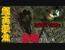 【広島爆釣伝説】超危険!!真夏の夜に現れた怖い魚=01