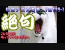 【初見プレイ】幻想少女大戦-夢-【実況プレイ動画】　Part.19-1