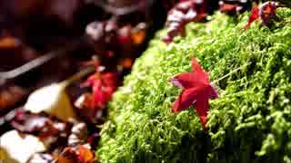 【志方あきこ】和風の曲【作業用BGM】