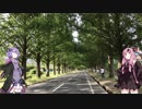 【VOICEROID車載】茜ちゃんと今日はどこ行こ？Part.2 滋賀県・メタセコイア並木