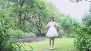 【コキちゃん】キミヱゴサーチ(初オリジナルの編舞)(｡>∀