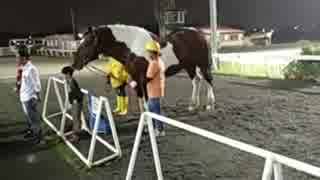 まとば雄一郎先生の帯広競馬場放浪記(2018.9.30)