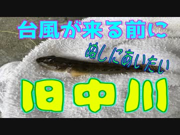 釣り動画ロマンを求めて 193釣目（旧中川）
