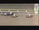 2018年10月1日船橋競馬10R 穂波スプリント(B2) バングルバングル