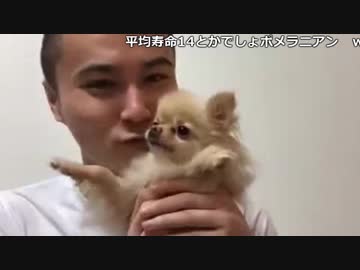 【TWC】うんこちゃん『雑談配信』9/12【2018/09/28】