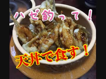 クニ君とハゼ釣りに行こう♪【もっち釣動組合♪♯３４】