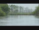 2018年 夏 北海道ツーリング　part17　（釧路湿原～ロッジシラルトロ～帯広編）