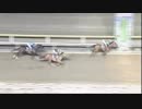 2018年10月2日船橋競馬10R ハートビートレディース(B2・B3牝馬) クロスウィンド