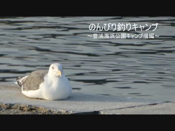 のんびり釣りキャンプ ~豊浦海浜公園キャンプ場編~ Part1