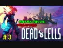 【生配信】不死身のPが挑むDead Cells #3【丸上げ】