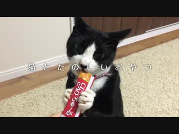 みんなでちゅーる