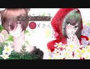 【オリジナルMV】おおかみは赤ずきんに恋をした / 歌ってみた【ゐぐり×コハク】