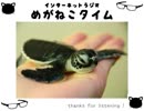 【イケボ＆カワボのトークバラエティ】#182　めがねこタイム