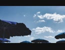 Blue Beach Umbrella　竹ノ内誠＠