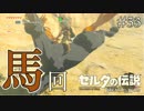 【実況】ゼルダ童貞による ゼルダの伝説BotW（ブレスオブザワイルド）~ハイパーお馬さんタイム~Part53