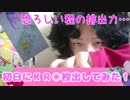 キラッとプリチャン第４弾～初日にＫＲ○枚出してみた！～