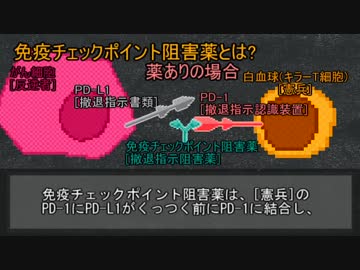 【ゆっくり解説】PD-1とチェックポイント阻害(ノーベル賞解説)