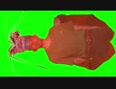 エビGB