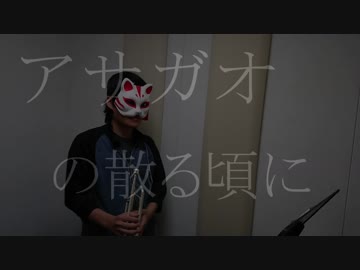 【夏も過ぎてしまいましたが】アサガオの散る頃に　を　トランペットで【演奏してみた】