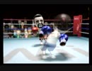 Wii　Sports　ボクシング（Bexing）　ウィクトル　勝ち　IOHD1046