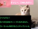 (名AKBで行こう)HKT48伝説 第３章「指原旋風」