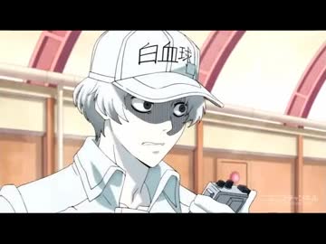 はたらく細胞 49番 シーン集 ニコニコ動画