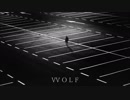 Amihs - Wolf