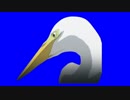 ダイナミックバードＢＢ＋おまけ