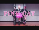 【コスプレ】PiNK CAT 踊ってみた【刀剣乱舞】