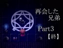 【実況】　最強剣士の弟、魔法使いの兄と対峙する　『Dear brother』Part3　【終】