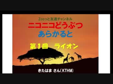 ニコニコどうぶつ あらかると ～ライオン～