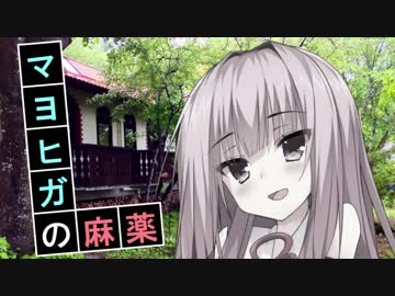 マヨヒガの麻薬　後編【VOICEROID劇場】