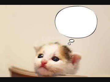 やしぷるらじお　特別編（大喜利編）