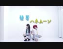【コスプレで】彗星ハネムーン【コスプレで踊ってみた】【Mag!cal】
