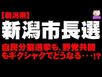 【新潟市長選】自民分裂選挙、野党共闘もギクシャク・・・でどうなる？