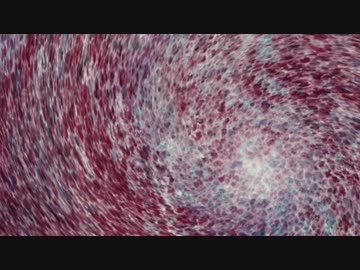 CGアニメ　3DCGフィルム　安住の地