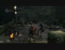 [実況] 女騎士 in DarkSoul part1