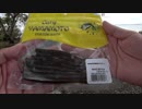 琵琶湖バス釣り。ゲーリーワームは釣れるんだけどめちゃちっこいのばかり